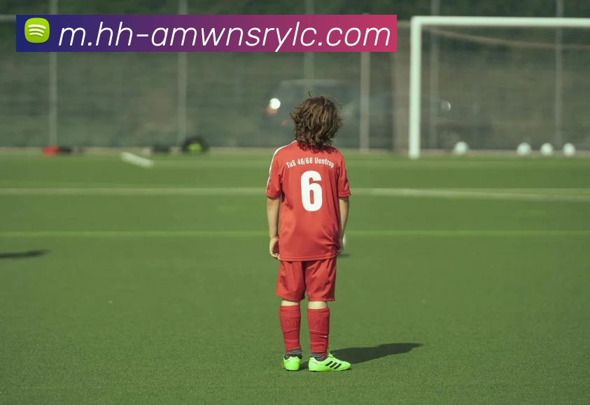 辅助工具 辅助工具